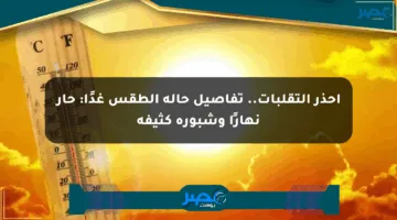 احذر التقلبات.. تفاصيل حالة الطقس غدًا: حار نهارًا وشبورة كثيفة